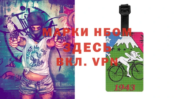 сатива Зеленокумск