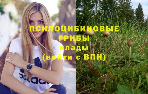 MESCALINE Зерноград