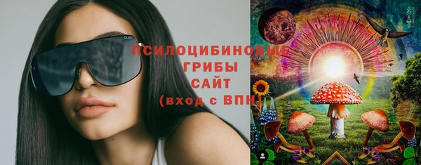 сатива Зеленокумск
