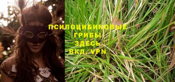 сатива Зеленокумск