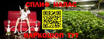 дживик Кунгур