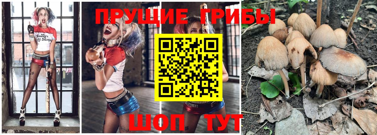 Псилоцибиновые грибы мицелий Шахты